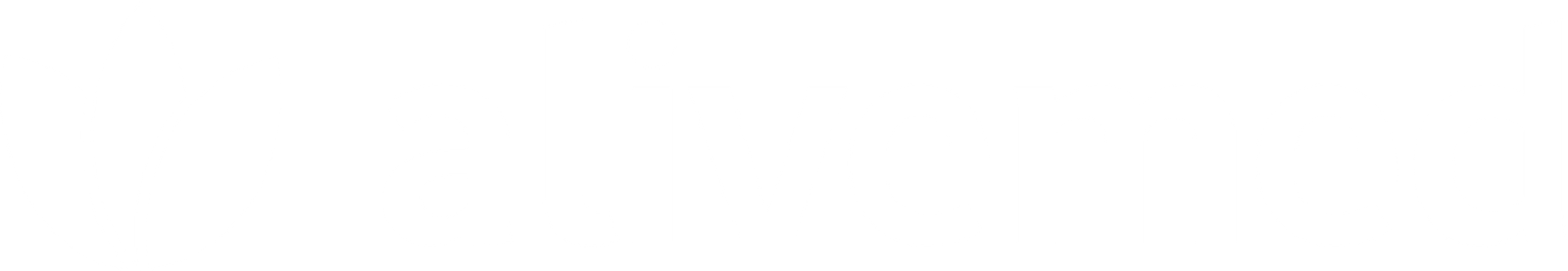 AliveFlan – logo branco